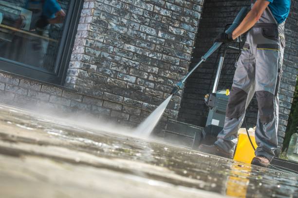 Best Animal Enclosure Cleaning  in Lincoln, MT